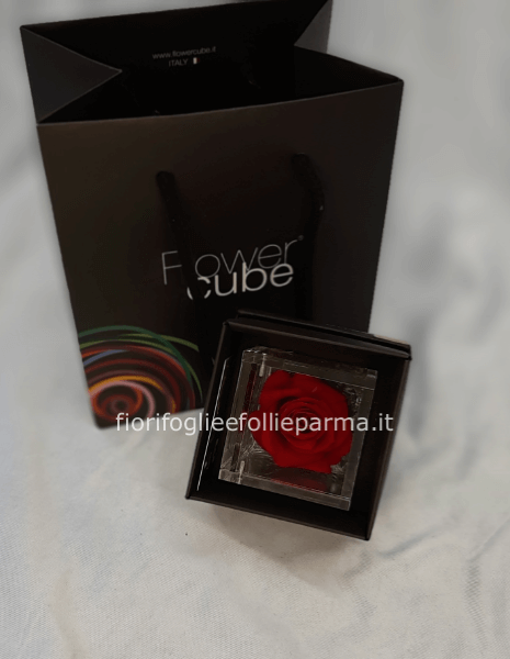 Flower cube rossa mini