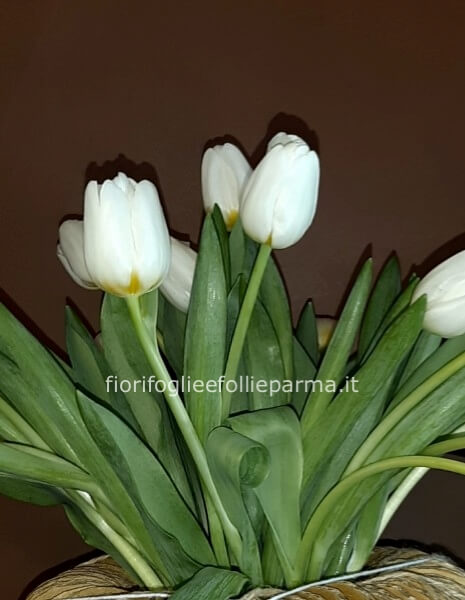 Mazzo 10 tulipani colori assortiti